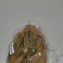 Canvas Crossbody Shoulder Bag Casual Hobo Bag Travel Tote Bag Messenger Bags Cute Large Purse for Women (Brown)