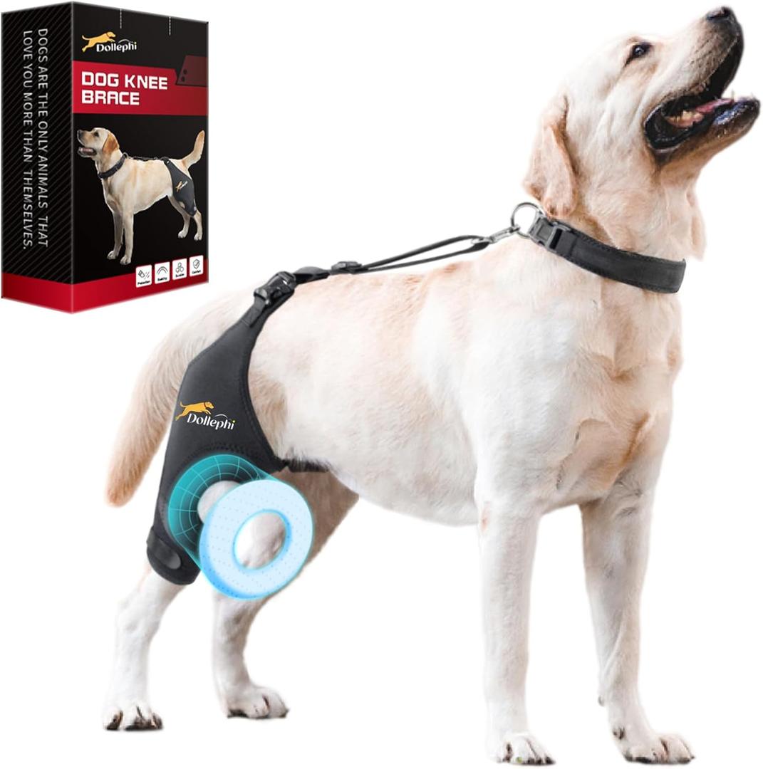 Dog Knee Brace for Torn ACL Hind Leg, Support for Patella Dislocation or Osteoarthritis, Cruciate Ligament Injuries, Cut-out Non-slip Wrap Promotes Patellar Stability,Patent Pending(Right Leg,XL)