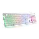 LANGTU Membrane Gaming Keyboard, Rainbow LED Backlit Quiet Keyboard for Office, USB Wired All-Metal Panel 25 Keys Anti-ghosting Computer Keyboard 104 Keys - L1 White/Silver