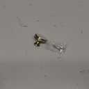 Amerock | Cabinet Knob | Golden Champagne/Frosted | 1-3/4 inch (44 mm) Diameter | Oberon | 1 Pack | Drawer Knob | Cabinet Hardware
