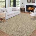 ROYHOME Machine Washable Rug 4x6 Print Braided Area Rugs Stain