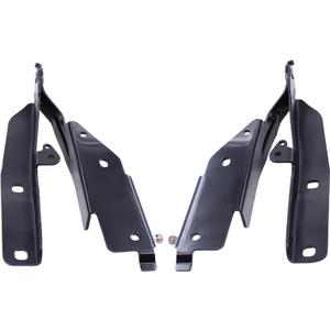 ApplianPar 2Pcs Front Driver and Passenger Hood Hinge for Q60 2014-2015 G37 2008-2013