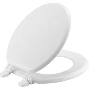 White Toilet Seat