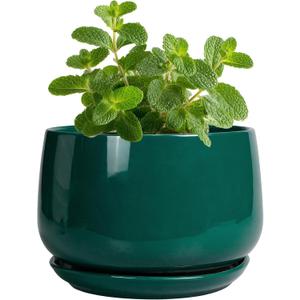 G EPGardening 4 inch Plant Pots - Small Ceramic Planter with Drainage Hole & Tray, Succulent Pots Indoor Outdoor, Round Modern Planter, Decorative Flower Pot, Desk Decor, Gifts for Plant Lover, Green