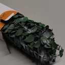 30Pcs Dried Eucalyptus Stems, 17" Real Preserved Eucalyptus Plant for Shower, Fresh Natural Branches for Vase, Eucalyptus Bundle for Home Decor, Wedding, Baby Shower, Bathroom