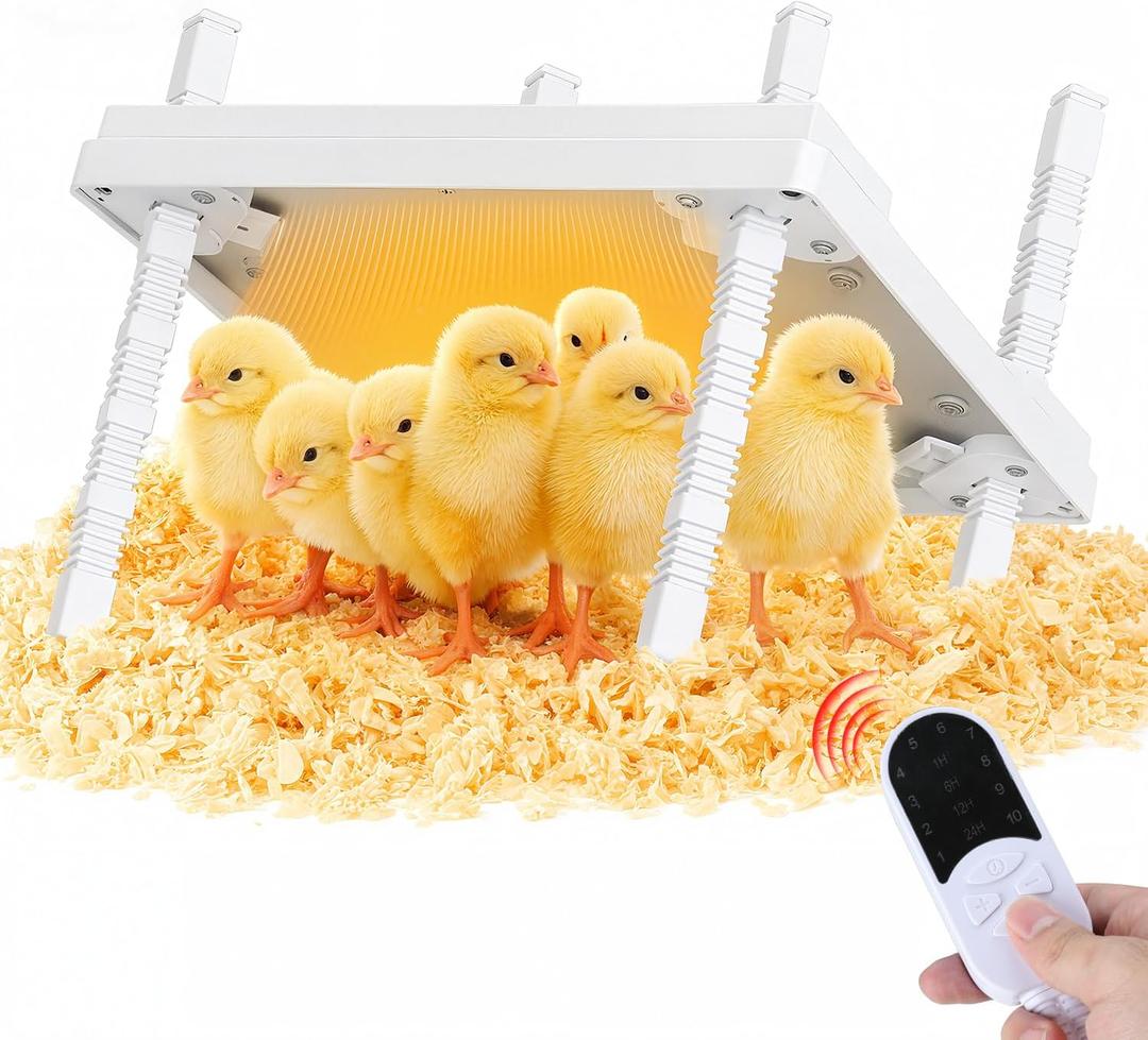12"x12" Chick Heat Plate | Adjustable Height Angle | Remote Precise Temp Control | 30W Low-Energy Heater | Stable Anti-Tip Frame | Suitable for Up to 20 Chicks & Indoor Brooding