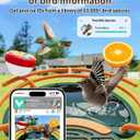 Bird Feeder with Camera, AI Recognition, Bird Bath, Solar Powered