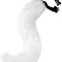 Cat Wolf Fox Faux Fur Furry Tail for Cosplay Halloween Fancy Party Costume Accessories (19.68 inch, Black)