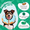BENCMATE Inflatable Dog Cone Collar Alternative, Soft Dog Cone for Small Medium Large Dogs and Cats, Neck Recovery ECollar Donut Collar After Surgery (Large, Blue Donut)