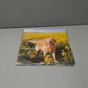 3 x 2026 Calendar, Wall Calendar 2026, Dogs 12 Month Wall Calendars (Jan - Dec 2026) 12" x 24" Opened, Hanging Monthly Calendar Thick Paper for Kids Family Adults Office Home