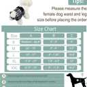 Female Dog Diapers - Premium Reusable Diapers for Doggie in Heat - Highly Absorbent for Pet Incontinence with Adjustable Snaps Black, M