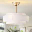 20" Boho Fandelier Ceiling Fan with Light, Caged Gold Fandelier Ceiling Fans with Lights Remote Control with 6 Speeds for Bedroom, Nursery, Living Room