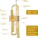 Eavnbaek Bb Standard Trumpet Set for Beginner or Advanced Student, Brass Student Trumpet Instrument with Hard Case, Cleaning Kit, 7C Mouthpiece and Gloves (Gold)