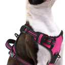 PUPTECK No Pull Dog Harness Small Sized, Adjustable Reflective Dog Harness with Handle Easy Control, Comfortable Soft Padded Pet Vest Harness for Small Dogs, Fuschia S