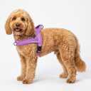 Didog Soft Flannel Padded Dog Vest Harness, No Pull/Quick Fit Reflective Dog Strap Harness, Easy for Training Walking (S:Chest 18-22", Purple)