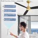 ZMISHIBO 2 Pack 52 Inch Outdoor Ceiling Fans with Remote, Gold Ceiling Fan No light with Quiet Reversible DC Motor, 6 Speeds, 3 Blade Modern Ceiling Fans for Patio Living Room Bedroom Indoor