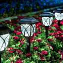 GIGALUMI 6 Pack Solar Lights Outdoor Waterproof, LED Solar Garden Lights, Outdoor Decorations, Garden Decor for Yard, Patio, Landscape, Planter, Walkway (Cold White)