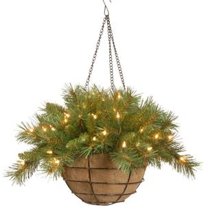 National Tree Company Pre-Lit Artificial Christmas Hanging Basket, Tiffany Fir, Decorated With Frosted Pine Cones, Berry Clusters, White Lights, Christmas Collection, 20 Inches