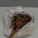 Hamiledyi Large Driftwood for Aquarium 8-18 Inch Driftwood Branches Reptiles Aquarium Decoration Assorted Size Natural Habitat Decor Wood for Lizad