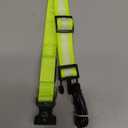 Vizpet LED Dog Collar, Light Up Dog Collar Adjustable USB Rechargeable Super Bright Safety Light Glowing Collars for Dogs (Medium,Green) 