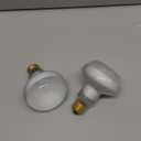 MISDOOD Reptile Heat Lamp 100W, 2 Pack Intense UVA Basking Light Bulbs, FlatBase Heat Emitter, Heat Lamp Bulb for Reptile Chickens Pet Brooder