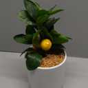 Lifelike Artificial Lemon Tree Bonsai 1pcs Faux Lemon Plant Decoration for Home Office and Kitchen Realistic Greenery Pot for Stylish Interior Decor, 35 inch