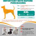 Dog Knee Brace Double Leg Support with Vest - Orthopedic Joint Stabilizer for ACL Tear, Arthritis, Patella Recovery - Adjustable Non-Slip Recovery Brace for Small Middle Large Dogs (XXL)