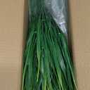 12 Bundles Artificial Plants Outdoor Fake Monkey Grass,UV Resistant Plant Decor, No Fade Realistic Greenery Plant for Window Garden Patio Hanging Planter Pathway Front Porch (Grass)