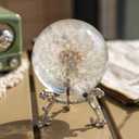 Real 60mm Dandelion Paperweight, Dandelion Resin Crystal Ball with Stand, Office Desktop Home Decor Gift for Dad,Mom,Teacher, Birthday, Wedding Valentine's Mother's Father's Day Gifts (2.36IN)