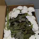Sggvecsy 50 Pcs Artificial Roses Fake Flowers Velvet Silk Roses with Stems Bulk Realistic Faux Flowers for Bridal Bouquets Wedding Centerpieces Valentines Day DIY Home Party Decor (Ivory)