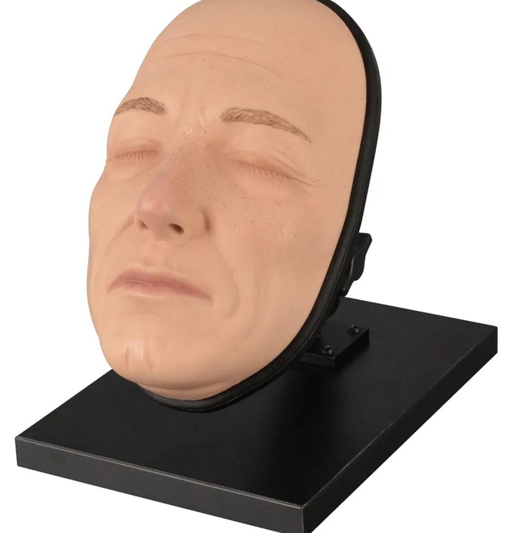 Multi-Directional Female Facial Injection Training Model, Silicone Injection Mannequin Face Model for Botox Injection Practice, Cosmetic Injection Model for Micro-Plastic Surgery Display