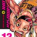 Yowamushi Pedal, Vol. 13 (Volume 13)
