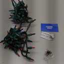 PREXTEX Christmas String Lights with Green Wire - 100 Count, 20 Ft Multicolored Christmas Tree Lights for Xmas Decorations Indoor and Outdoor - Incandescent String Light for Patios, Fences, Holidays