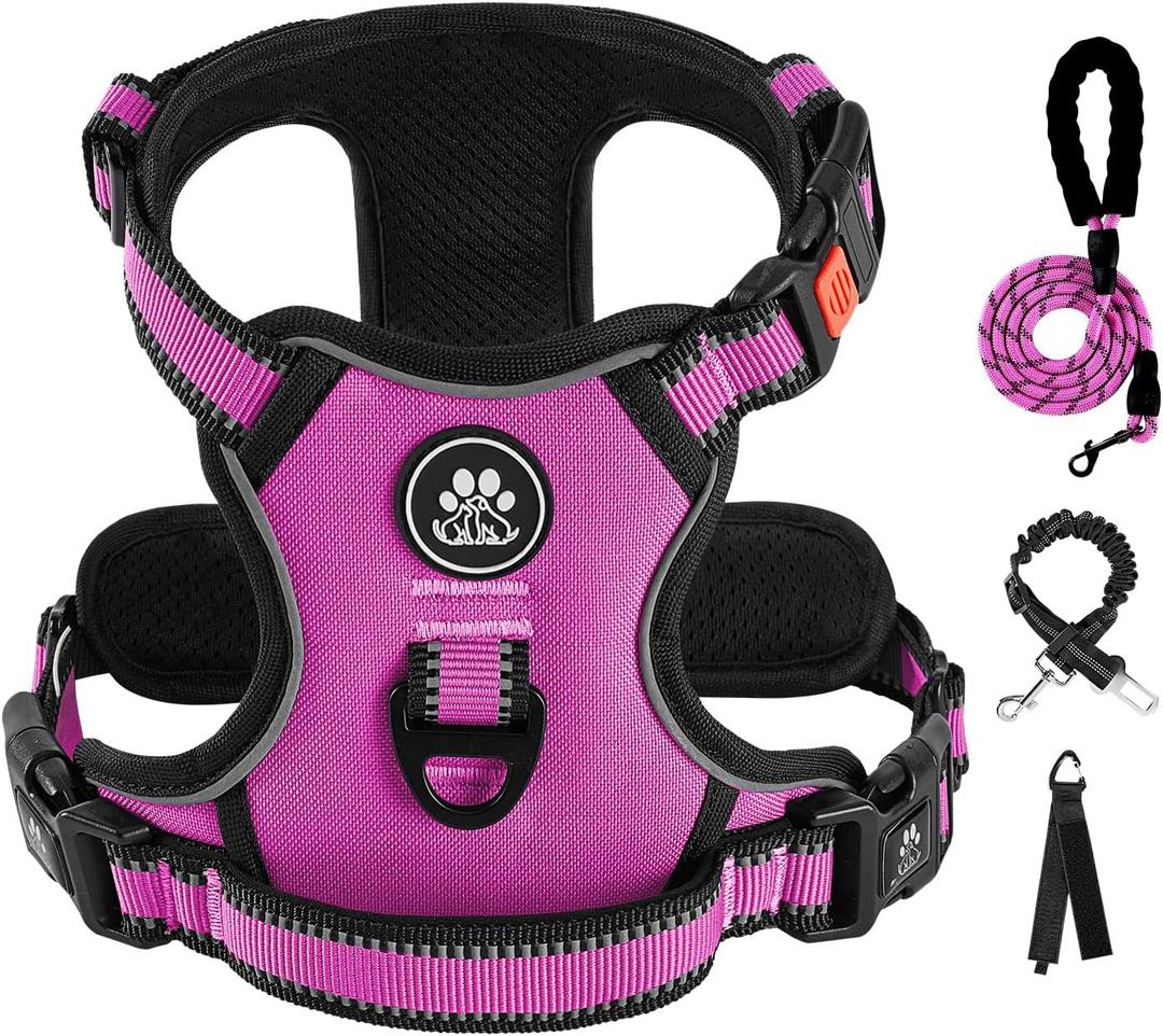 IVY&LANE No Pull Dog Harness for Small Dogs, Dog Vest Harness with Leash, Safety Belt and Storage Strap, Fully Adjustable Harness, 360 Reflective Strip, Soft Handle (Fuchsia Pink,S)