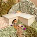 Niteangel Multi-Chamber Hamster House Maze: - Multi-Room Hideouts & Tunnel Exploring Toys for Hamster Gerbils Mice Lemmings (3-Room Large)