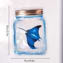 Olicard Window Suncatcher Sticker Indoor Rainbow Prism Window Film Bedroom Decoration, Anti Collision Window Decals for Bird Strikes, Sun Catchers Window Decals, Window Rainbow Maker for Home Decor (Devil Rays)