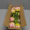 Grand Verde Tulip Artificial Flowers Bulk Faux Bouquets 12 Stems Fake Flowers Decoration Wedding Centerpiece Kitchen Office Home Decor, 14 pcs (Pink)