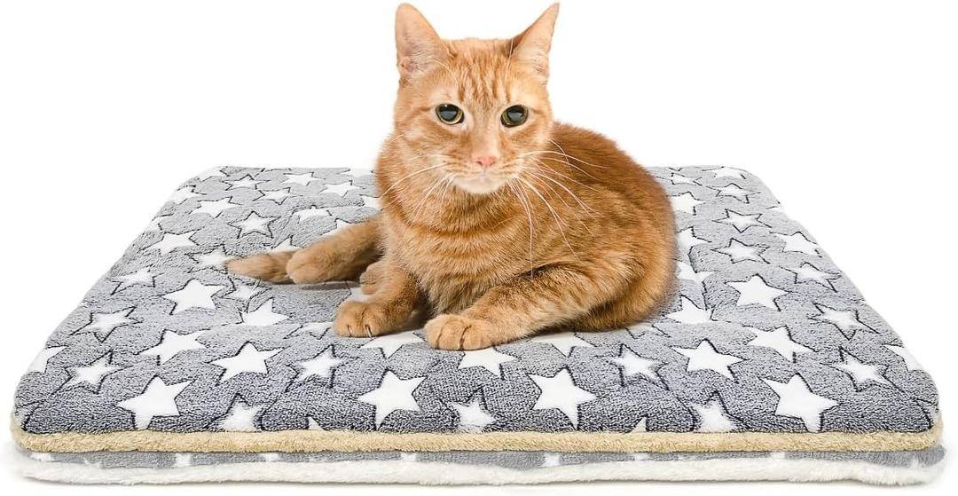 2 Pack Cat Blanket for Indoor Cats Ultra Soft and Warm Calming Cat Bed Fleece Pet Mat for Anxiety and Stress Washable Kitten Blanket