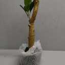 Artificial Orange Tree 4ft Fake Fruits Plant in Pot Large Fake Floor Plants Faux Trees Indoor Orange Decorations for Home Living Room Office