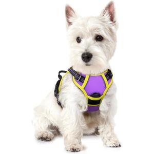 rabbitgoo Dog Harness No Pull with 2 Leash Clips, Adjustable Soft Padded, Reflective Oxford No Choke Pet Vest with Easy Control Handle for Puppy, Purple & Yellow, XS
