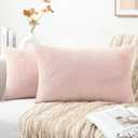 Pallene Faux Fur Plush Lumbar Throw Pillow Covers 12x20 Set of 2, Luxury Soft Fluffy Cozy Decorative Pillow Covers for Sofa, Couch, Living Room, Blush Pink