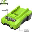 Greenworks 40V Battery Charger (Genuine Greenworks Charger)