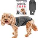 BellyGuard Recovery Suit for Dogs, Comfy Dog Surgery Suit, Female Spay and Male Neuter Onesie for Post-Op Care (Small, Grey)