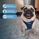 Best Pet Supplies Voyager Step-in Air Harness - All Weather Mesh, Reflective, No Pull Harness for Dogs, Cats - Secure with Hook & Loop Fastener, Buckle, Double D-Rings - Blue/Black Trim, M