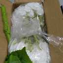 Nubry 2Pcs White Hydrangea Artificial Flowers, 22.5In Latex Faux Real Touch Large Hydrangea Flowers with Long Stems & Leaves for Home Office Decor Wedding Party Arrangements(White)