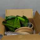 Cat Scratching Post, 35 Inch Tall Cat Scratcher Cat Tree Tower with Hanging Ball for Indoor Cats Adults,Fiddle Leaf Fig Sisal Rope Kitten Scratch with Interactive Mouse Cat Toy