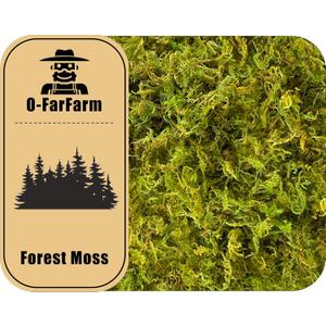 5 x Dried Forest Moss for Plants 5.3oz / 3qt, Green Orchid Sphagnum Moss, Long Fibered Dried Moss for Succulents Garden Flowers Pot and Reptiles
