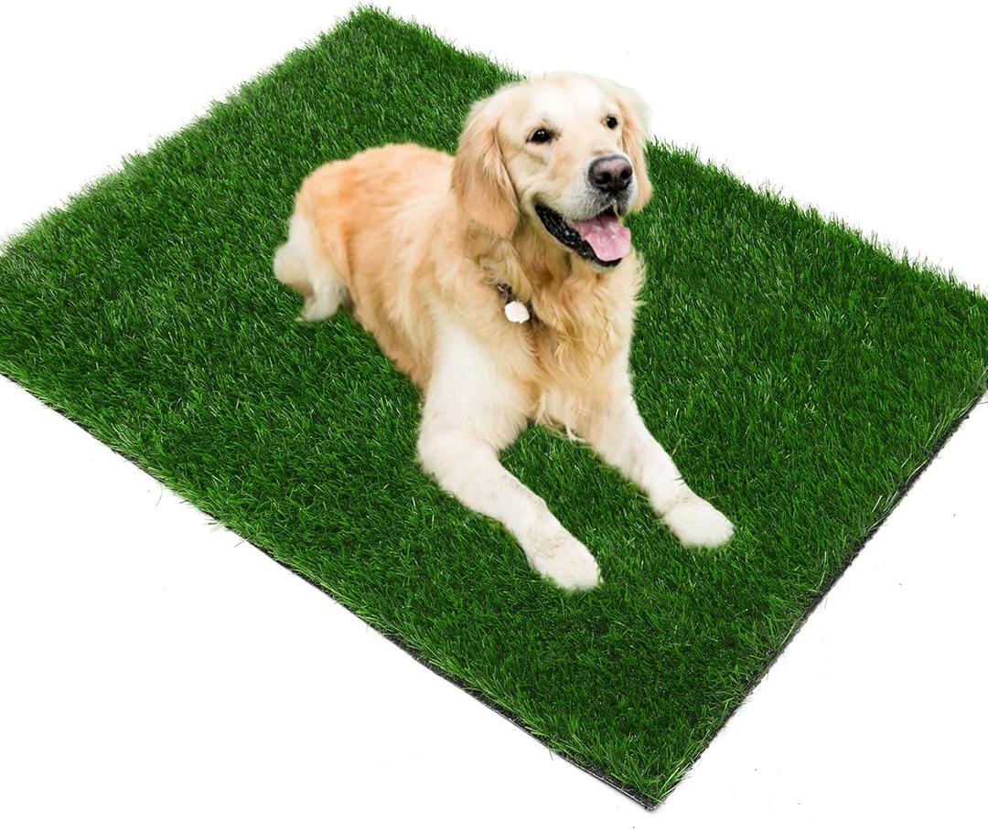 Grass Pad for Dogs 39.3 x 19.7 inches, Strong Absorbency Soft and Real Grass for Pets Potty Training, Easy to Clean Fake Grass for Dog Indoor Outdoor Use (1 Pack) (Green)