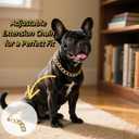 Gold Dog Chain Necklace Collar,Fashionable Cuban Link, Adjustable, Lightweight & Durable Metal Decoration (Gold, 17" (Neck Fits 16"-20"))