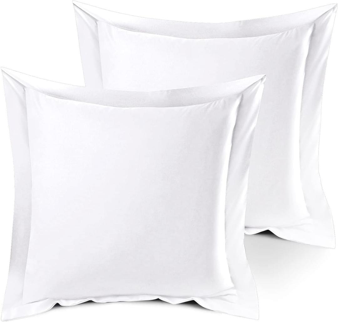100% Egyptian Cotton Pillow Sham | Queen Size | 600 Thread Count | Soft White | Set of 2 | Breathable & Temperature Regulating | Durable & Washable | 24 X 24 Inch